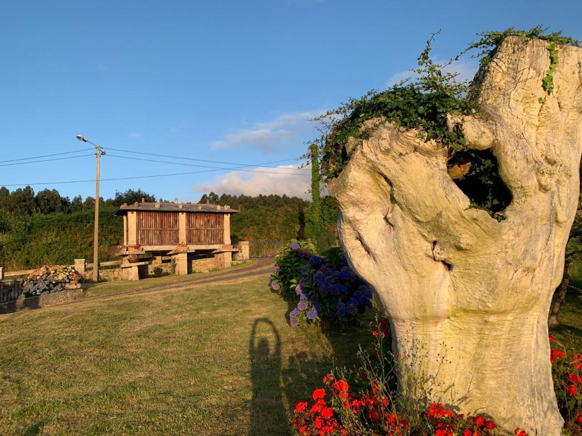 Casa Pereiro Playa De Esteiro Viveiro Eksteriør billede